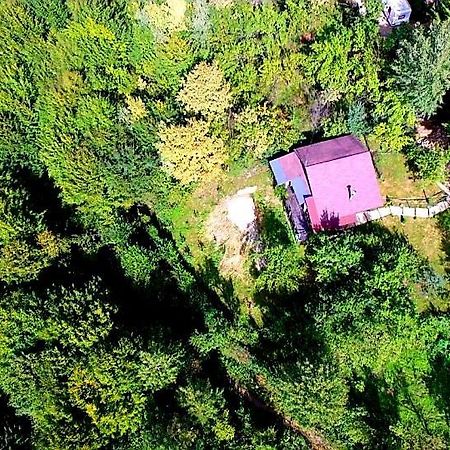 Mystically Wood House In The Forest Carjari 외부 사진
