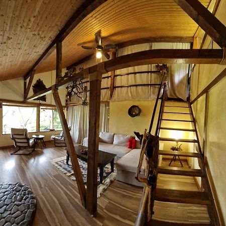 Mystically Wood House In The Forest Carjari 외부 사진