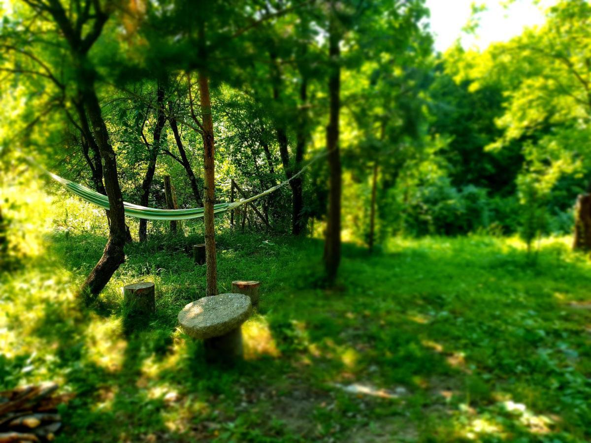 Mystically Wood House In The Forest Carjari 외부 사진