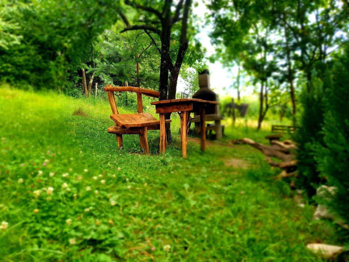 Mystically Wood House In The Forest Carjari 외부 사진