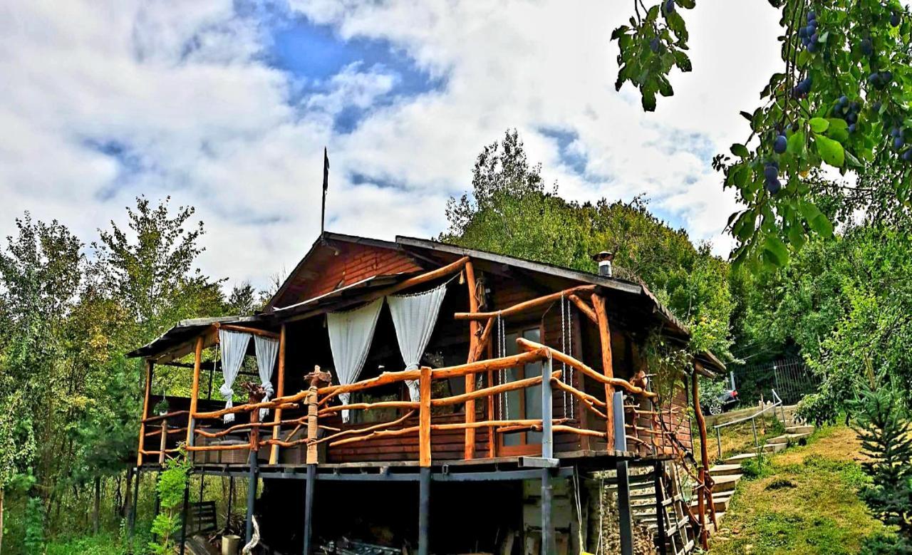 Mystically Wood House In The Forest Carjari 외부 사진