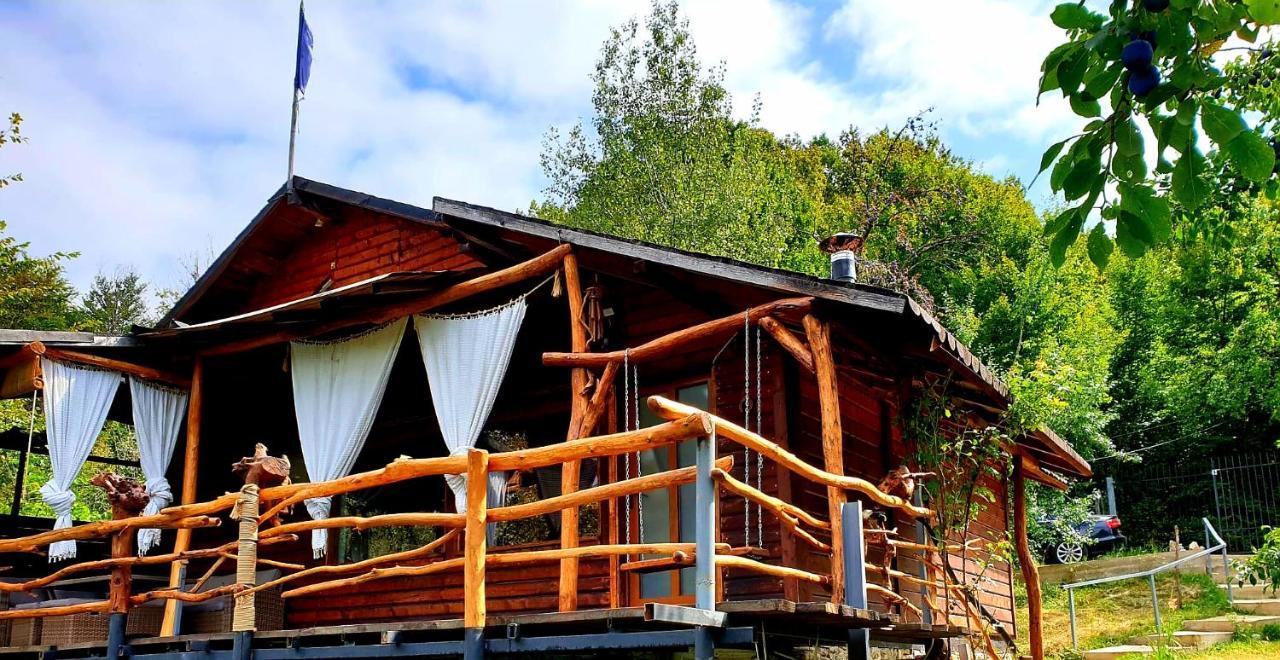 Mystically Wood House In The Forest Carjari 외부 사진