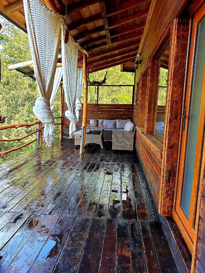 Mystically Wood House In The Forest Carjari 외부 사진