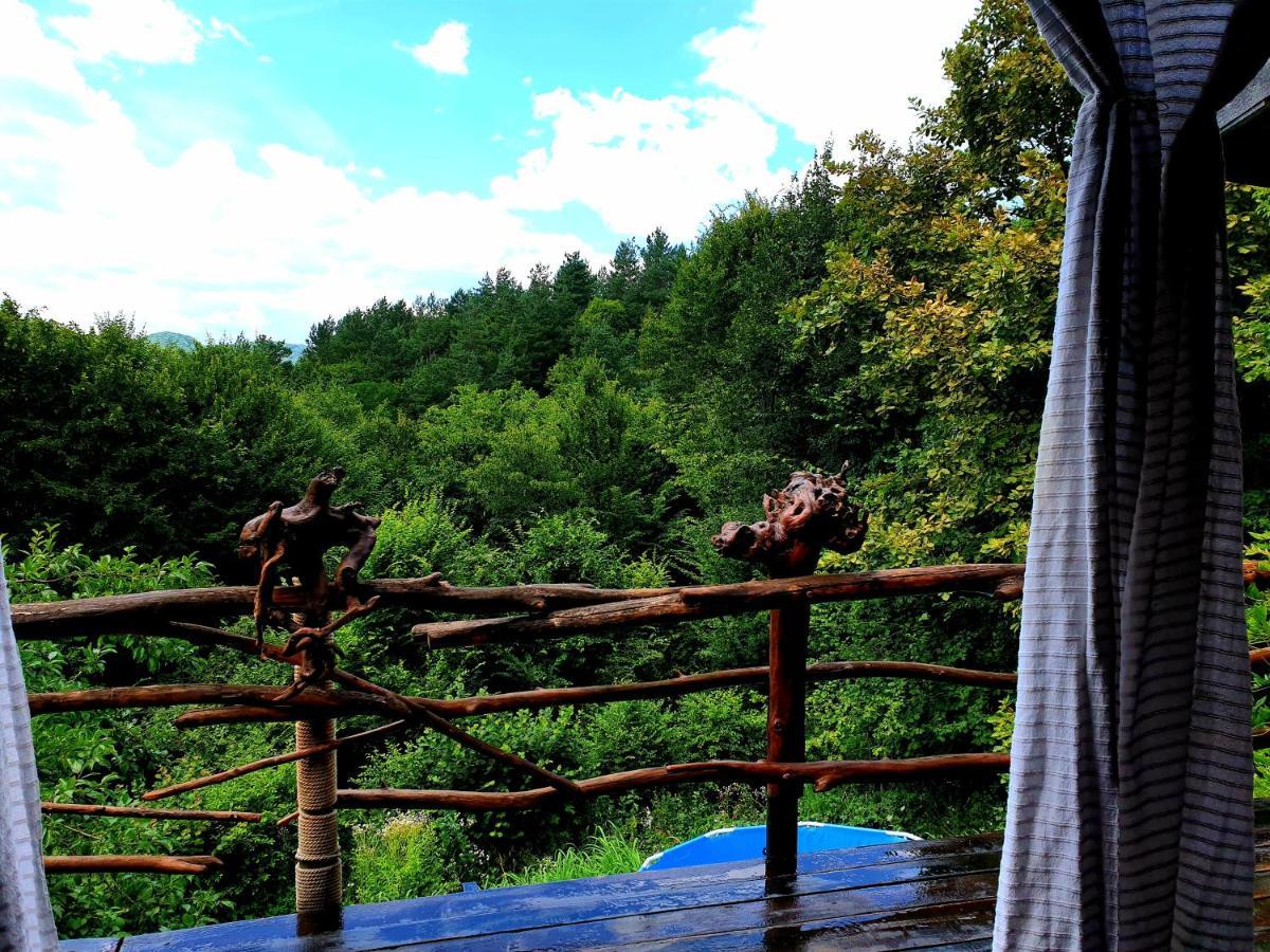 Mystically Wood House In The Forest Carjari 외부 사진