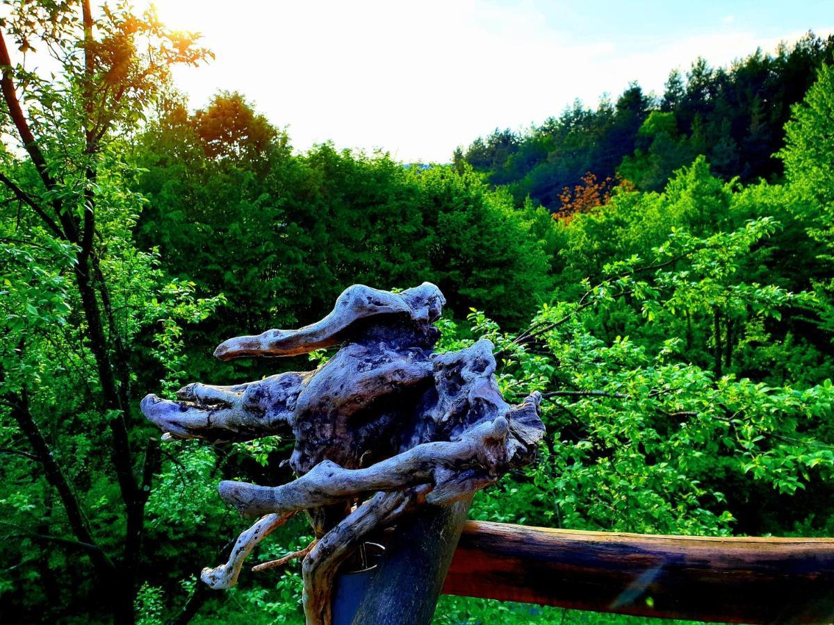 Mystically Wood House In The Forest Carjari 외부 사진