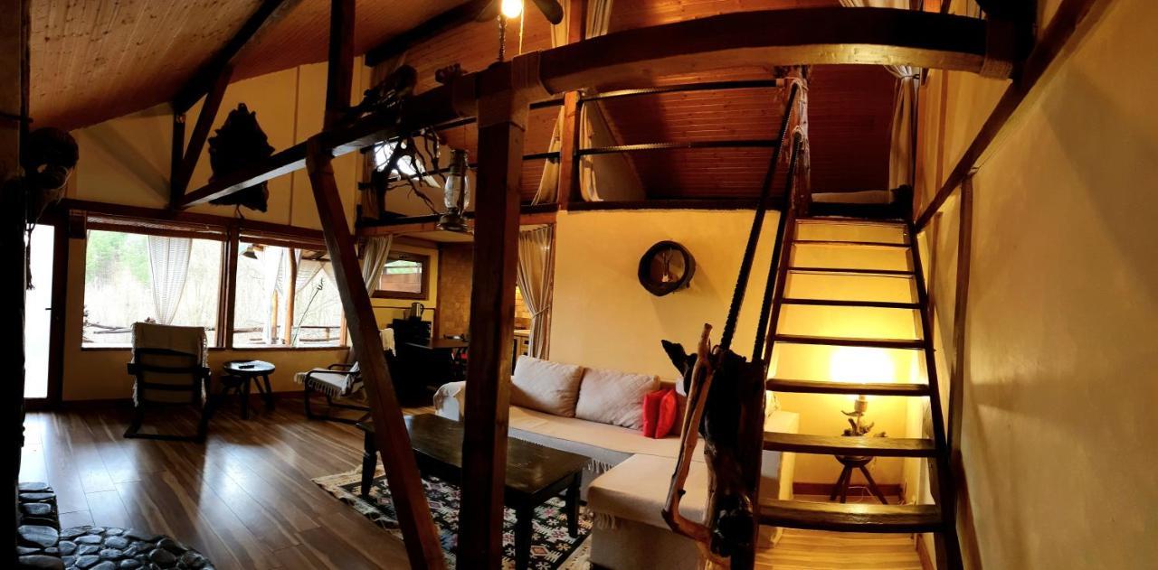 Mystically Wood House In The Forest Carjari 외부 사진