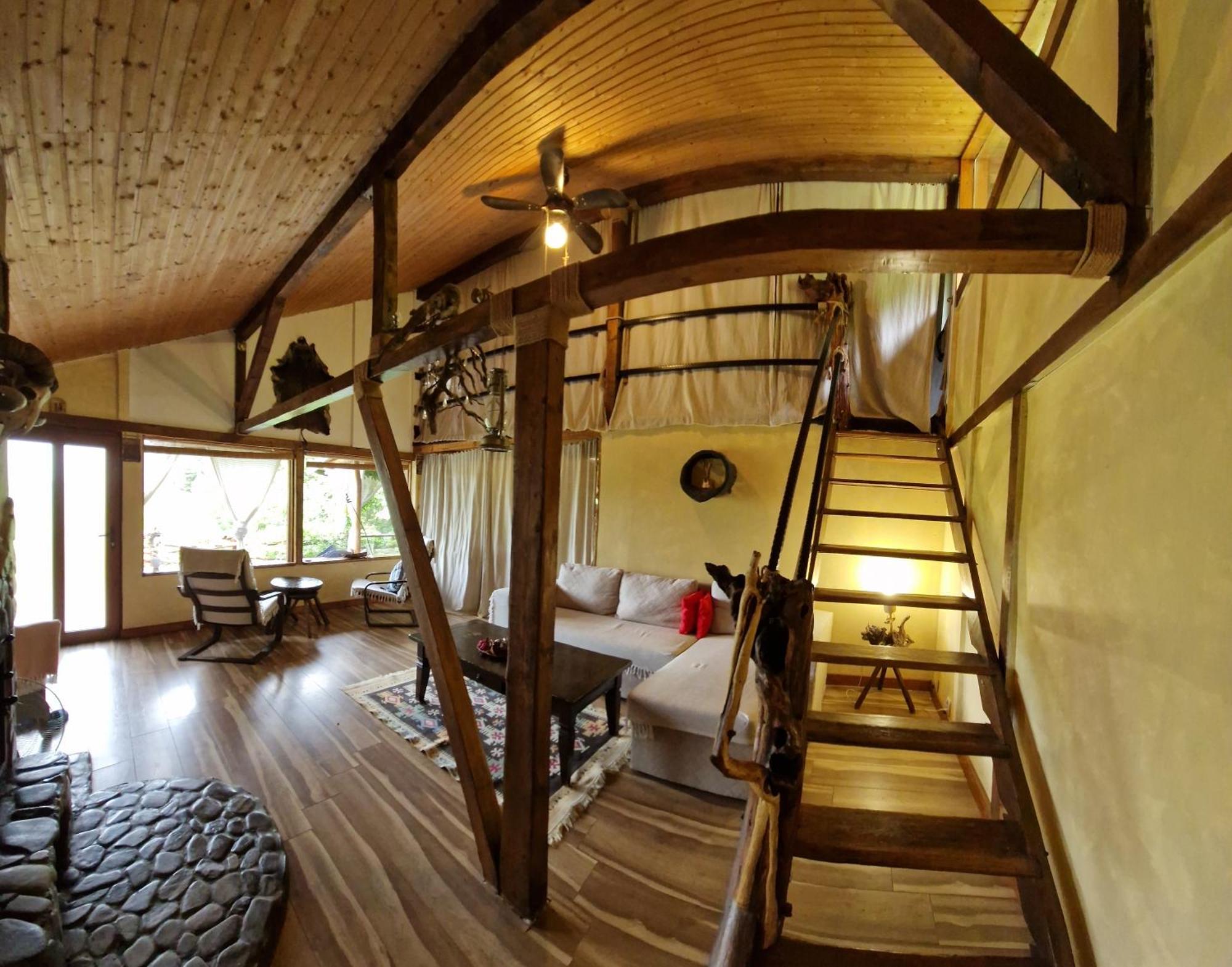 Mystically Wood House In The Forest Carjari 외부 사진